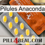 Anaconda Pills 42